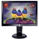 Viewsonic VX2255wmb Widescreen LCD monitor